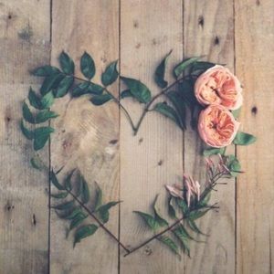 Meet your Posher, Ang